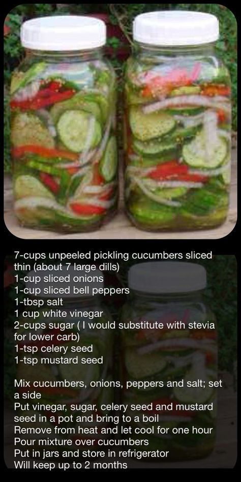 Fresh Pickled Cucumber Salad: Cucumber, Onion, Bell Pepper, Vinegar Found this on Facebook... Think I would add a few cloves of garlic and maybe cauliflower... Probably use less sugar too: Pickled Cucumber Salad, Pepper Vinegar, Cucumber Onion, Salad Cucumber, Pickled Cucumber, Decorações Com Comidas, Homemade Pickles, Pickled Veggies, Cucumber Recipes