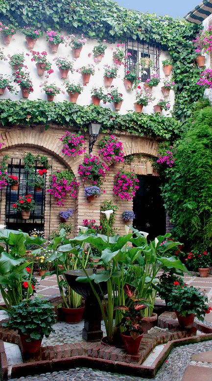 Decorative Andalusian courtyard in Cordoba, Spain • photo: AntonioInauta on Flickr Courtyard Flowers, Mexican Things, Spanish Garden, Cordoba Spain, Topiary Garden, Green Walls, Garden Pictures, Wild Spirit, Plants And Flowers