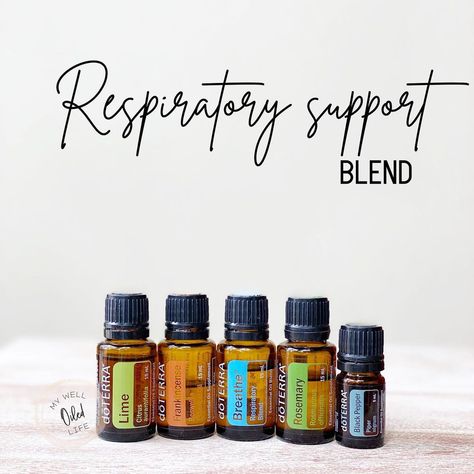 Doterra Rosemary, Essential Oil Blends Roller, Doterra Frankincense, Doterra Oils Recipes, Doterra Breathe, Doterra Blends, The Respiratory System, Natural Mom, Diy Essential Oil Recipes