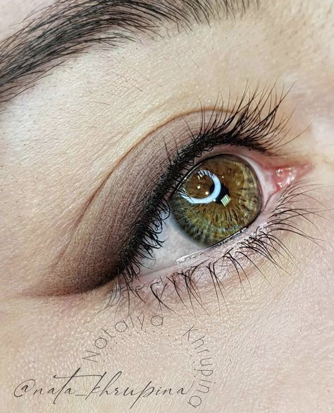 Shaded Eyeliner Tattoo, Stardust Eyeliner Tattoo, Permanent Eyeshadow, Permanent Eyeliner Styles, Eyeliner Permanent Makeup, Pmu Eyeliner, Mircoblading Eyebrows, Tattoo Eyeliner, Permanent Makeup Eyeliner