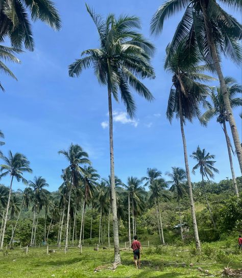 Summer In The Philippines, Philippines Province Aesthetic, Province Life Philippines, Phillipines Aesthetic, Province Aesthetic, Filipino Aesthetic, Philippines City, Haunted Island, Philippines Aesthetic