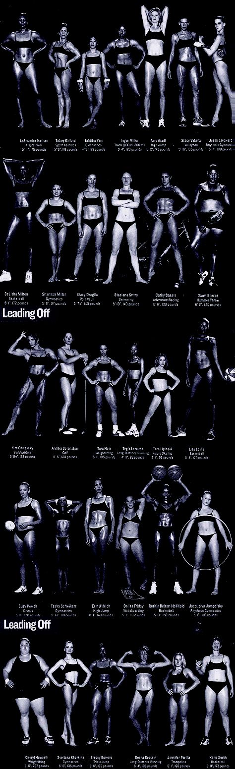 Olympic athletes show strength comes in ALL shapes and sizes Olympic Women Body Types, Howard Schatz Athlete, Olympic Body Types, Different Muscle Body Types, Athletic Body Types, Drawing Tuts, Athletic Body Type, Drawing Help, Body Types Women