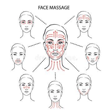 Face Massage Oil, Facial Massage Techniques, Face Massage Techniques, Facial Massage Routine, Face Yoga Facial Exercises, Yoga Facial, Facial Exercises, Facial Muscles, Face Yoga