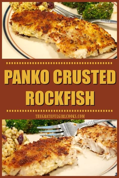 You'll enjoy this simple, delicious recipe for panko crusted rockfish! Fish fillets are seasoned, coated with crispy panko crumbs, and pan-seared. / The Grateful Girl Cooks! Pan Fried Rock Fish Recipe, Baked Striper Fish Recipes, How To Cook Rock Fish, Rick Fish Recipes, Fried Fish With Panko Crumbs, Rock Fish Fillet Recipe, Rock Bass Fish Recipe, Air Fryer Rock Fish, Fried Striper Fish Recipes