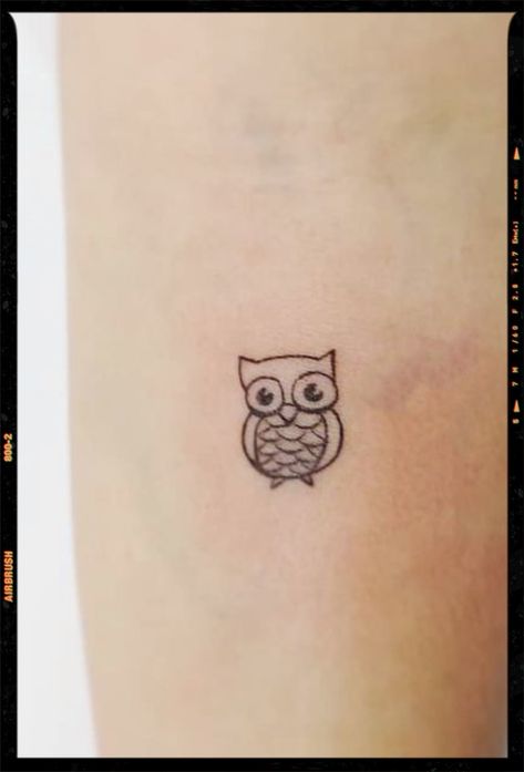 Owl Small Owl Tattoo, Tiny Owl Tattoo, Tattoo Silly, Filter Tattoo, Desert Owl, App Filter, Small Owl, Ink Inspiration, Airbrush App