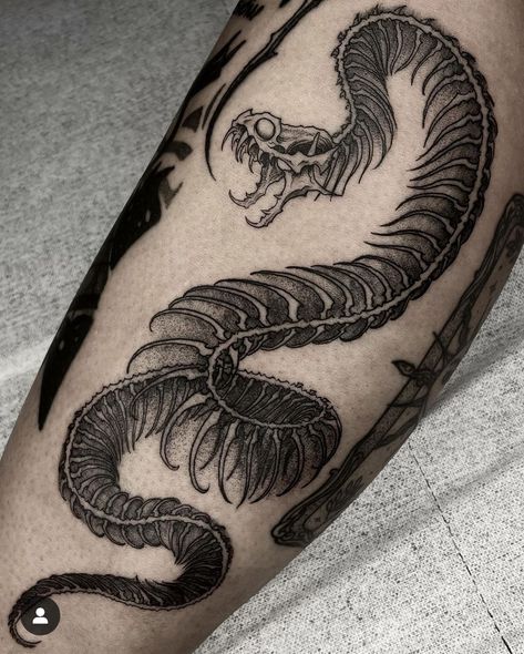 Snake With Fangs Tattoo, Black Work Snake Tattoo, Snake Skeleton Tattoo Leg, Snake Tattoo Designs Men, Snake Skeleton Tattoo Arm, 3 Headed Dragon Tattoo, Straight Snake Tattoo, Diamondback Rattlesnake Tattoo, Gothic Snake Tattoo