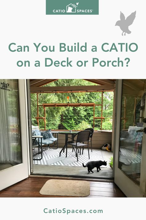 Porch Cat Enclosure, Pergola With Catio, Catio Screened In Porch, Under Deck Cat Enclosure, Catio Enclosure Outdoor Cats, Cat Proof Deck, Screened In Porch With Catio, Screened In Porch Cat Friendly, Cat Proof Screened In Porch