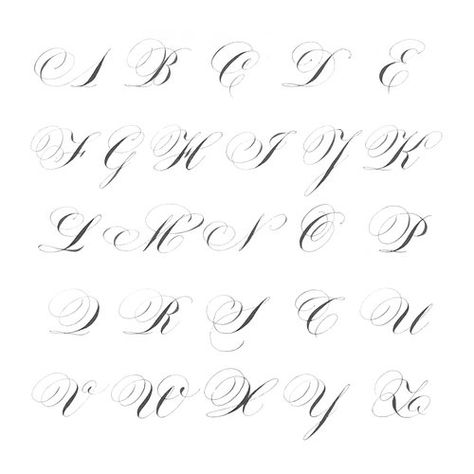 Flourished Letters, Calligraphy Letters Alphabet, Flourish Calligraphy, Calligraphy Types, Calligraphy Fonts Alphabet, Fonts For Tattoos, Fancy Writing, Graffiti Lettering Fonts, Copperplate Calligraphy