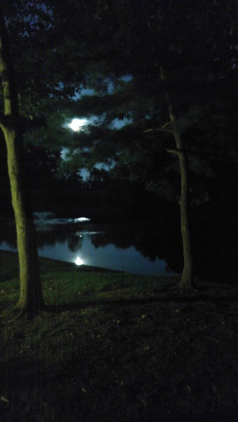 The full moon and the pond beneath... Full Moon Over Lake, Pond At Night, Purple Yam, Under The Rain, Water Pond, Night Forest, Film Studies, The Full Moon, Ideas Photography