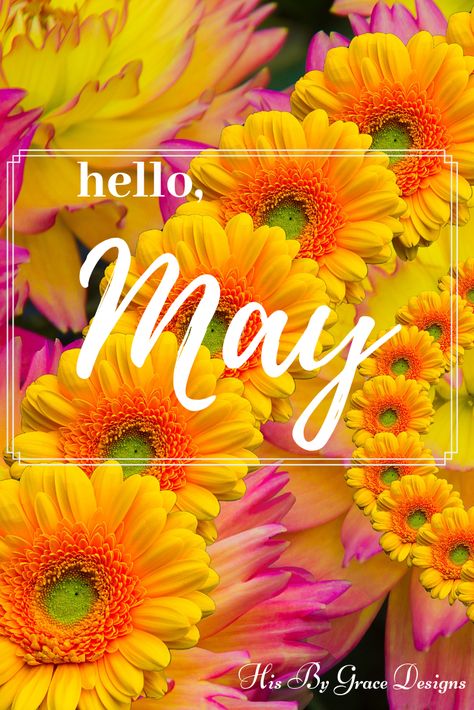 Happy May Y'all from His By Grace Designs #hellomay #happymay #firstdayofmay #mayflowers #greetings #may #newstart #hisbygracedesigns May New Month Greetings, Happy May Day Quotes, Happy May 1st Quotes, Happy New Month May, Happy First Day Of May, New Month Greetings, Happy New Month Prayers, Hello New Month, Counting Blessings