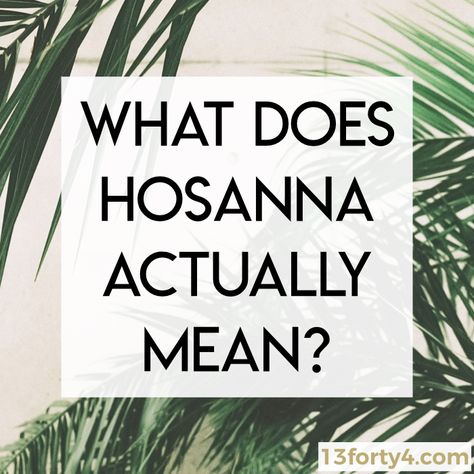 Quotes For Palm Sunday, Meaning Of Hosanna, What Is Palm Sunday, Prayer For Palm Sunday, Hosanna In The Highest Palm Sunday, Palm Sunday Meaning, Palm Sunday Devotion, Hossana Jesus Palm Sunday, Palm Sunday Scripture