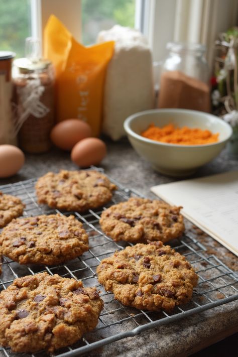 Pumpkin Oatmeal Cookies Recipe

Ingredients

- 1 cup canned pumpkin puree
- 1/2 cup brown sugar, packed
- 1/4 cup white sugar
- 1/2 cup melted coconut oil or butter
- 1 teaspoon vanilla extract
- 1 cup rolled oats
- 1 cup all-purpose flour
- 1 teaspoon baking powder
- 1 teaspoon cinnamon
- 1/2 teaspoon nutmeg
- 1/2 teaspoon salt
- 1/4 cup chocolate chips (optional)

Instructions

- Preheat your oven to 350°F (175°C).
- In a large bowl, combine pumpkin puree, brown sugar, white sugar, melted coconut oil (or butter), and vanilla extract until smooth. 

Full Recipe on... Browned Butter Pumpkin Oatmeal Cookies, Pumpkin Puree Cookies, Pumpkin Oat Chocolate Chip Cookies, Brown Sugar Oatmeal Cookies, Pumpkin Oatmeal Chocolate Chip Cookies, Oatmeal Biscuits, Einkorn Recipes, Cereal Cookies, Pumpkin Oatmeal Cookies