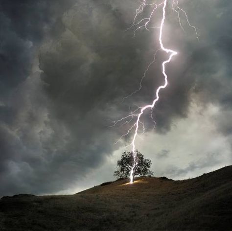 The tree that Jane and Rochester confessed their love under was struck by lightning later that night, foreshadowing the doomed nature of their relationship. Tree In A Field, Wild Weather, Stormy Sky, Single Tree, Lone Tree, Thunder And Lightning, Lightning Storm, Stormy Weather, Lightning Strikes