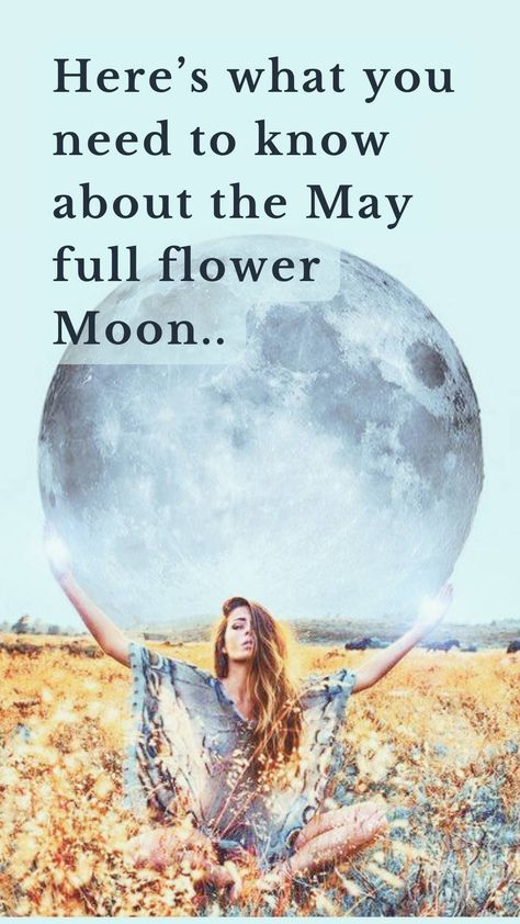 The Spiritual Meaning of May’s Full Flower Moon (23rd May 2024) May Full Moon 2024, Flower Moon Meaning, Full Flower Moon, May Moon, Full Moon Names, May Full Moon, Full Moon Tonight, Moon Names, Next Full Moon