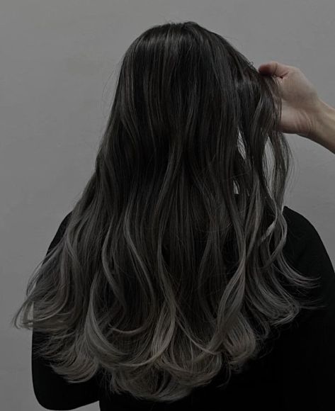 Gray Blonde Hair Highlights, White And Dark Hair, Grey Highlights Black Hair, Grey Underlights, Black White Hair Aesthetic, White And Black Hair Aesthetic, Black Hair White Tips, Black Hair With Grey Streak, Black Hair Grey Highlights