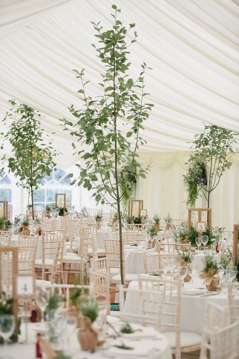 Wedding Tent With Trees, Marquee Wedding Decoration, Eucalyptus Willow, Wedding Trees, Marquee Decoration, Marquee Decor, Wedding Interior, Castle Hill Inn, Tent Wedding Reception