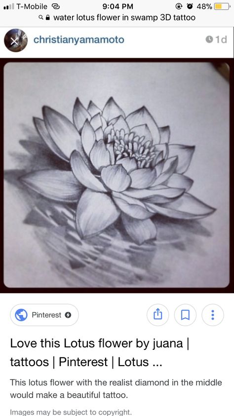 Lotus Flower Drawing Tattoo, Flower Drawing Tattoo, Lotus Flower Drawings, Tattoo Lotus Flower, Bird Tattoos Arm, Lotus Flower Drawing, Water Lily Tattoos, Tattoo Lotus, Lily Tattoo Design