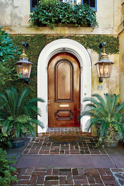 Tone-on-Tone - Front Door Container Gardens That Will Impress Guests - Southernliving. Visitors will marvel at this arched wood door and surrounding evergreen vines. To match the rounded door, we added large urns planted with sago palms. Coral Front Doors, Bold Front Door Colors, Bold Front Door, Heat Tolerant Plants, Southern Living Plants, Front Door Styles, Sago Palm, Creeping Jenny, Full Sun Plants