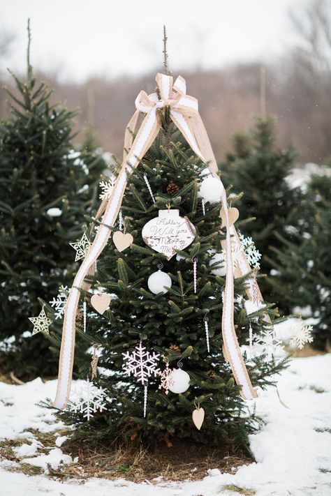 25 Festive Christmas Tree-Inspired Wedding Ideas Tree Farm Proposal, Farm Proposal, Wedding Christmas Tree, Autumn Wedding Ideas, Christmas Tree Wedding, Winter Wedding Ideas, Wedding Color Palettes, Best Wedding Proposals, Fall Wedding Color Palette