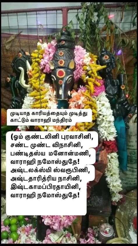 Varahi Amman Images, Kaduvetti Guru Photos Hd, Amman Images, Devine Quotes, Super Brain Yoga, Varahi Amman, Spiritual Pictures, Morning Mantra, Gayatri Mantra