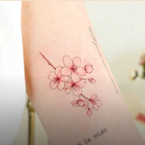 Simple Sakura Tattoo, Cherry Blossom Minimalist Tattoo, Minimalist Tattoo Cherry Blossom, Sakura Bloom Tattoo, Minimal Sakura Tattoo, Pink Flower Tattoo, Pink Flower Tattoos, Sakura Tattoo, Idea Tattoo