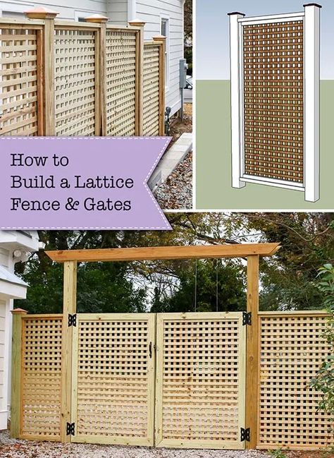 Lattice Gate, Homestead Exemption, Lattice Privacy Fence, Build A Window, Building A Gate, Lattice Garden, Yard Privacy, Fence And Gate, Diy Privacy Fence