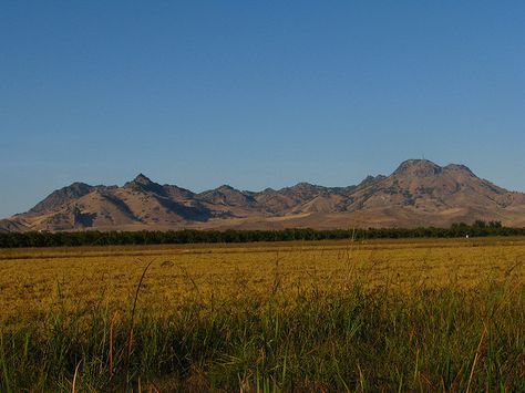 yuba city agriculture | Recent Photos The Commons Getty Collection Galleries World Map App ... Yuba City California, Grass Valley, Nevada City, Miniature Quilts, Sticker Ideas, California Love, California Dreamin', Northern California, Geology