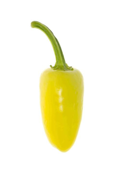 Santa Fe Grande Chili Peppers Types Of Chili, Yellow Chili Peppers, Types Of Chili Peppers, Pepper Salsa, Jalapeno Pepper, Sante Fe, Kitchen Organization Diy, Yellow Pepper, Hottest Chili Pepper