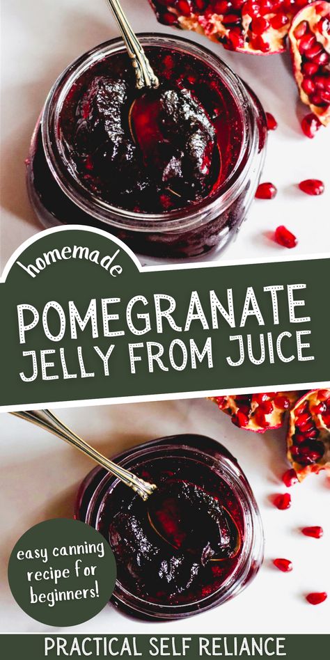 Preserving Pomegranates, Jelly From Juice, Pomegranate Jam, Canning Instructions, Pomegranate Jelly, Sugar Fruit, Preserving Recipes, Easy Canning, Minimalism Challenge