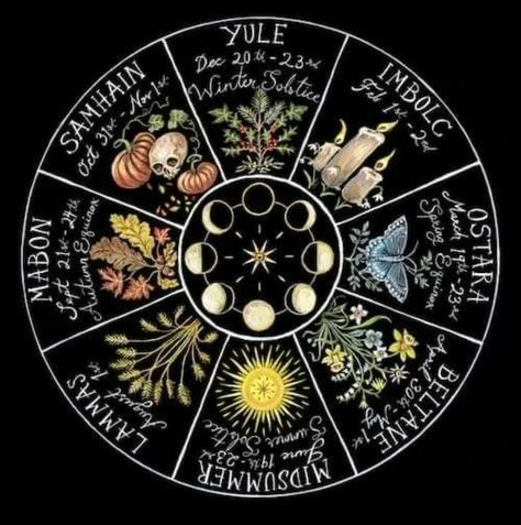 Magia Das Ervas, Wiccan Magic, Witch Spirituality, Wheel Of The Year, Witchy Crafts, Witch Spell Book, Herbal Magic, Witch Magic, Season Of The Witch