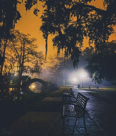 Historic New Orleans Homes | Rougarou weather. | Facebook New Orleans Aesthetic, City Park New Orleans, Southern Nights, Louisiana History, Vampire Masquerade, New Orleans Art, New Orleans Homes, City Park, Beautiful Landscape Wallpaper