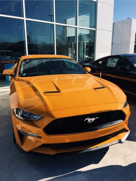 2022 Ford Mustang, Ford Mustang California Special, Mustang Orange, Sports Cars Mustang, Ford Mustang Dark Horse, Ford Mustang 2016, Ford Mustang Shelby Gt, Grabber Orange Mustang, Ford Mustang Shelby Cobra