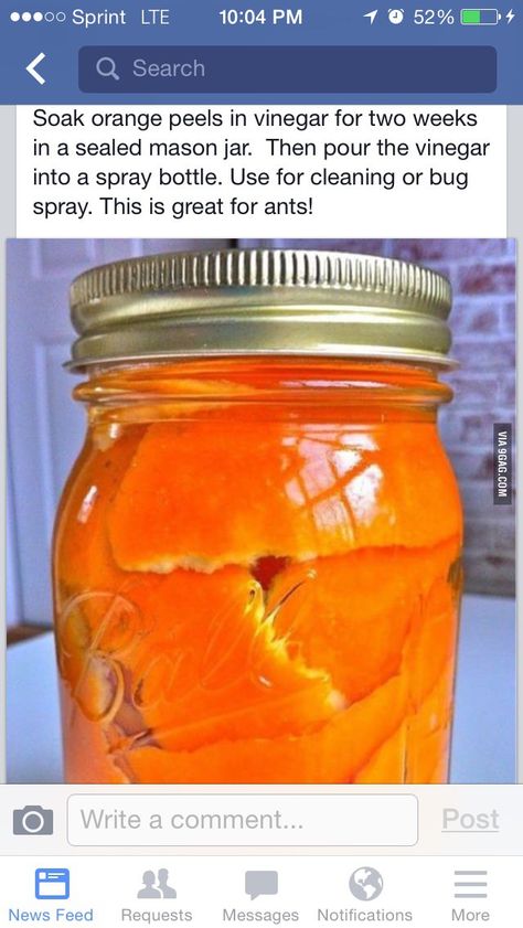 Left On Open, Orange Peel Vinegar, Orange Vinegar, Orange Cleaner, All Natural Cleaning, Ant Spray, Vinegar Cleaner, Home Cleaning Products, Organic Compounds