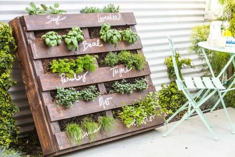 Garden Pallet Decorations, Pallet Herb Garden, Plantarea Legumelor, Herb Garden Pallet, Funny Vine, Outdoor Herb Garden, Diy Herb Garden, Herb Garden Design, Vertical Herb Garden