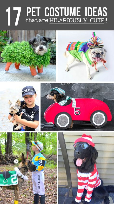 Pet Costume Ideas, Dog Costumes For Kids, Diy Pet Costumes, Pet Costumes For Dogs, Woodland Fairy Costume, Funny Pet Costumes, Best Dog Costumes, Costumes For Dogs, Cute Dog Costumes