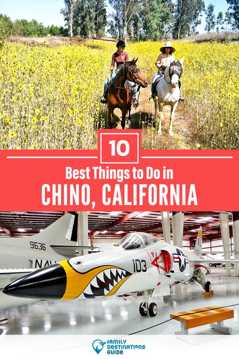 Want to see the most incredible things to do in Chino, CA? We’re FamilyDestinationsGuide, and we’re here to help: From unique activities to the coolest spots to check out, discover the BEST things to do in Chino, California - so you get memories that last a lifetime! #chino #chinothingstodo #chinoactivities #chinoplacestogo Chino Hills California, Chino California, Collect Moments Not Things, Vacation With Kids, Chino Hills, Collect Moments, Weekend Activities, Family Destinations, Toddler Fun