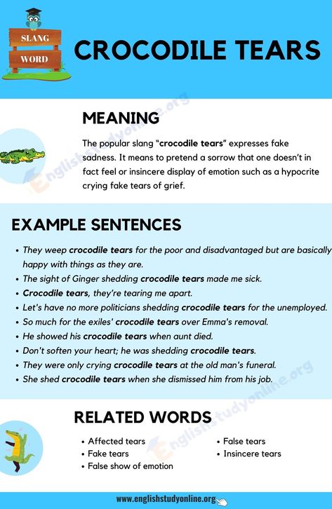 Crocodile Tears The Selfish Crocodile Activities, Crocodile Symbolism, In A While Crocodile Sayings, Tears Meaning, Crocodile Facts, Fake Tears, Crocodile Tears, English Teaching Resources, Slang Words