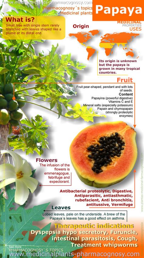 Papaya benefits. Infographic. Summary of the general characteristics of the Papaya. Medicinal properties, Benefits and uses more common. Papaya fruit and leaves contents. Papaya Benefits, Papaya Fruit, Nutrition Sportive, Coconut Health Benefits, Benefits Of Coconut Oil, Types Of Tea, Tropical Fruit, Health Info, Medicinal Plants