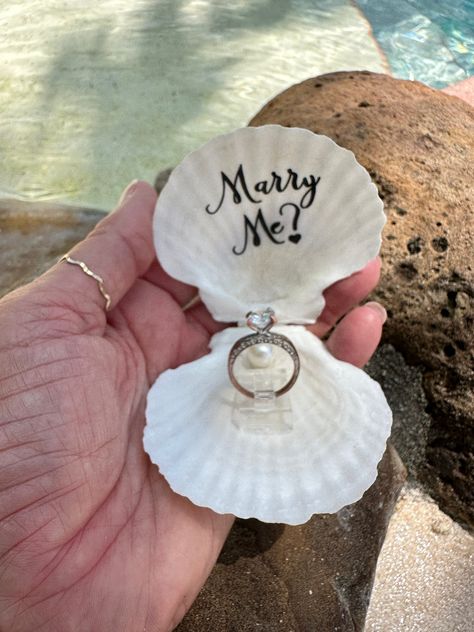 "Proposal seashell ring box,beach ring holder,getting engaged ring holder, unique ring holder,proposal seashell, will you marry me, anniversary gift Beach proposal white seashell ring holders are fresh out of the ocean! These round white textured fan paired seashells were especially made due to numerous requests for THE MOST NATURAL look --in order to make the greatest impact and surprise for a beach proposal. They are made with gorgeous yet  shells.. Each is unique and they are not perfect- whi