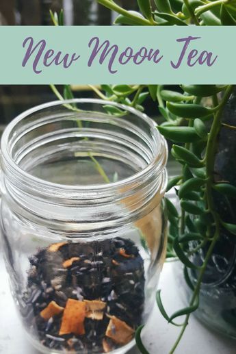 New Moon Tea Blend Recipe | The Witch of Lupine Hollow Moon Tea Recipe, New Moon Tea, Earl Grey Lavender, Moon Tea, Tea Blends Recipes, Herbal Tea Garden, Kitchen Witch Recipes, Moon Magick, Homemade Tea