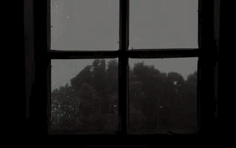 Rain Gif, Banner Gif, Through The Window, Aesthetic Gif, Aesthetic Images, Photo Quotes, Aesthetic Videos, Cup Of Tea, Art Plastique