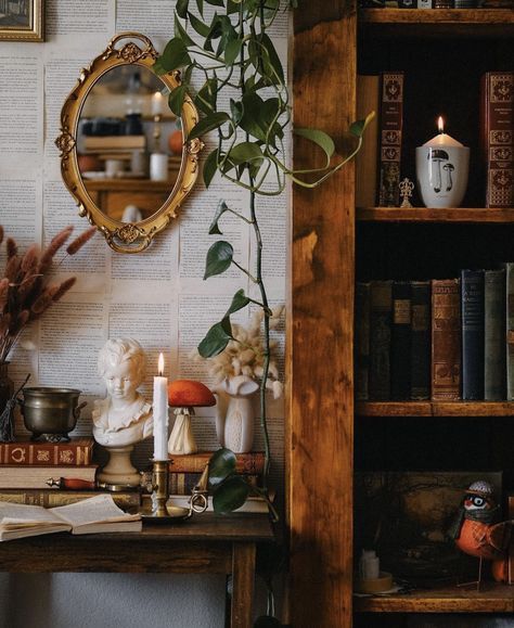 Dark Academia Interior, Bookshelf Aesthetic, Whimsical Home, Casa Vintage, Cozy Cottage, Room Aesthetic, My New Room, My Dream Home, Dark Academia