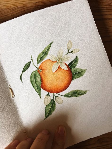 interesting art videos are always fun! Enjoy this creative and peaceful painting process video.. in this YouTube vidoe, I'm painting one of my FAVORITE art subjects: Orange blossoms! I love painting Oranges for some reason, they are so bold and colorful, and I love adding the floral citrus blooms elements to make it feel more dynamic and interesting! Enjoy! Orange In Watercolor, Feel Good Painting Ideas, Watercolor Oranges Tutorial, Orange Blossom Watercolor, Oranges Watercolor Paintings, Oranges Painting Acrylic, Painting Of An Orange, How To Paint Oranges, How To Paint An Orange