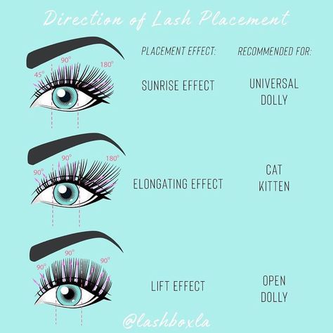 🧜🏼‍♂️Chris LashBoxLA🦄 on Instagram: “The post that’s worth saving, because angle placement matters!  👏👏👏 Applying lashes at a 90 degree to the lid is a great guideline to start…” Lash Extension Mapping, Lash Extension Salon, Lash Curls, Applying Lashes, Types Of Eyelash Extensions, Semi Permanent Eyelashes, Kitten Eyes, Lash Extension Training, Lash Maps