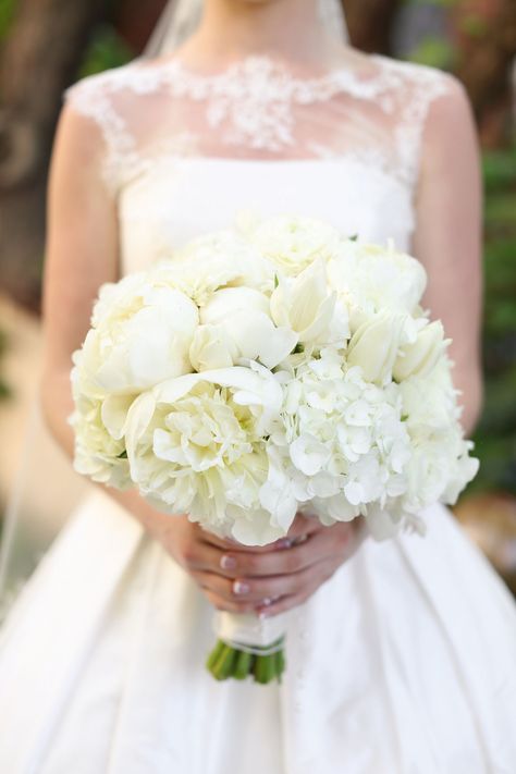 Tulip And Hydrangea Wedding Bouquet, Bridal Bouquet Hydrangea And Peonies, White Peonies And Hydrangeas Bouquet, Tulip Hydrangea Bouquet, Blue Hydrangea And Peony Bouquet, Peonies Bride Bouquet, Peony Hydrangea Bouquet, Hygrandea Bouquet, White Wedding Bouquets Hydrangea