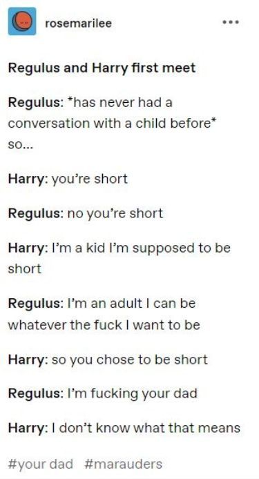 Marauders Jegulus, Orion Black, Barty Crouch, Slytherin Skittles, Harry Hermione, Marauders Fan Art, Funny Harry Potter Jokes, Gay Harry Potter, Harry Potter Feels