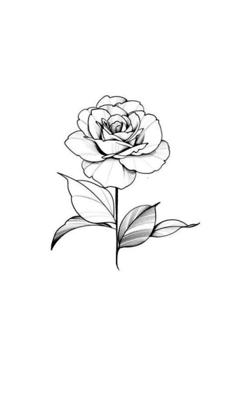 Single Rose Drawing, Rose Outline, Black Girls With Tattoos, Rose Drawing, Single Rose, Blooming Rose, Girl Tattoos, Tatting, Tattoo Ideas