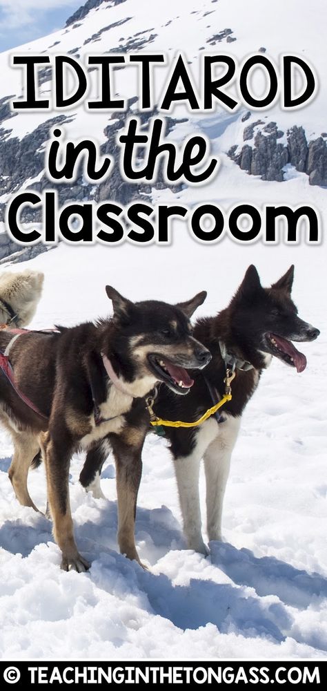 Iditarod Crafts, Alaska Activities, Iditarod Lessons, Iditarod Activities, Themed Lesson Plans, Alaska Dog, Activities For The Classroom, January Classroom, Novel Study Activities