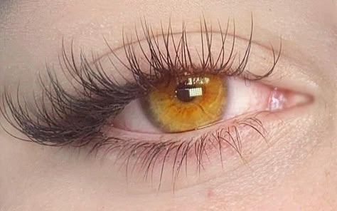 Honey Eyes, Hazel Green Eyes, Beautiful Eyes Color, Amber Eyes, Aesthetic Eyes, Gorgeous Eyes, Hazel Eyes, Long Lashes, Pretty Eyes