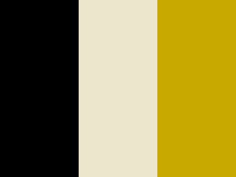 "black and yellow" by brianne.yogib Yellow Color Palette, Color Palette Yellow, Black And Yellow, Yellow Black, Black N Yellow, Yellow Color, Yellow White, Color Combinations, Black Color